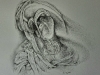 vitrine